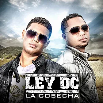 La Cosecha by Ley DC