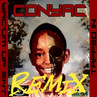 Fort Wayne (Remix) by Conyac