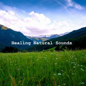 Healing Natural Sounds by Healing Power Natural Sounds Oasis