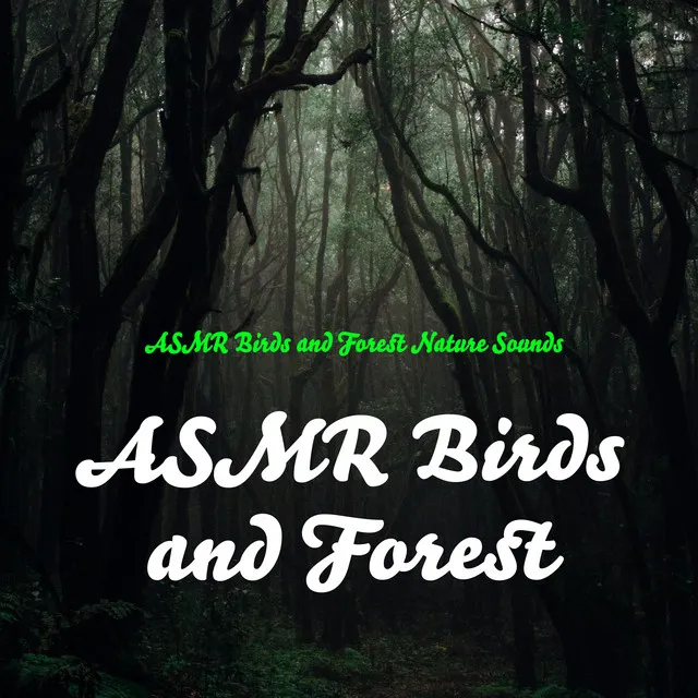 ASMR Birds and Forest