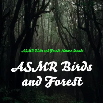 ASMR Birds and Forest by ASMR Birds and Forest Nature Sounds