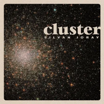 Cluster by Silvan Joray