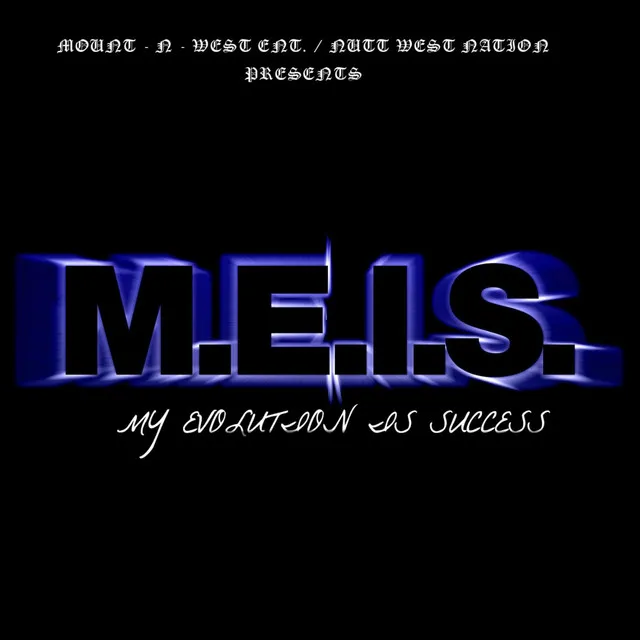 M.E.I.S.