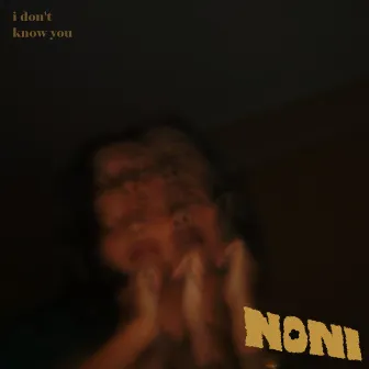 I Don't Know You by Noni