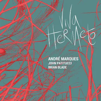 Viva Hermeto by Andre Marques