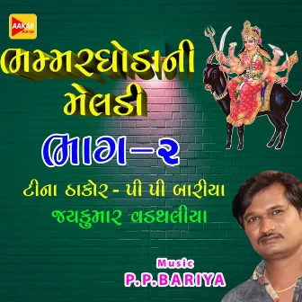 Bhammar Ghodani Meldi 2 by Tina Thakor