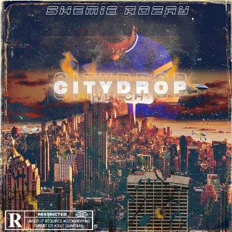 City Drop by Shemie Rozay