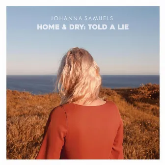 Home & Dry: Told a Lie by Johanna Samuels