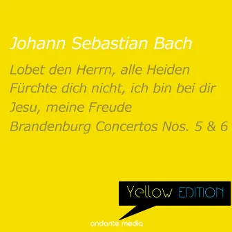 Yellow Edition - Bach: Lobet den Herrn, alle Heiden, Psalm 117 & Brandenburg Concertos Nos. 5, 6 by Rolf Schweizer