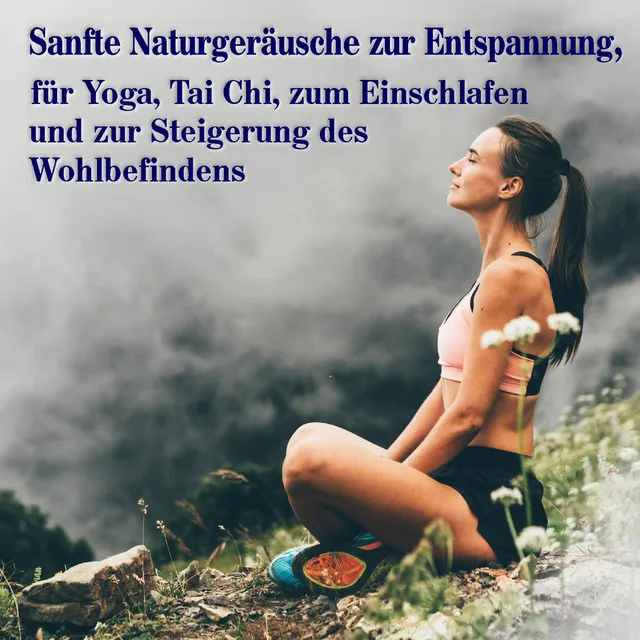 Sanfte Naturgeräusche zur Entspannung, für Yoga, Tai Chi, zum Einschlafen und zur Steigerung des Wohlbefindens