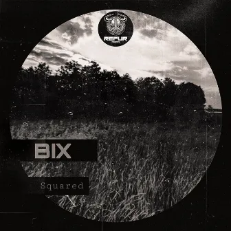 Squared by BIX