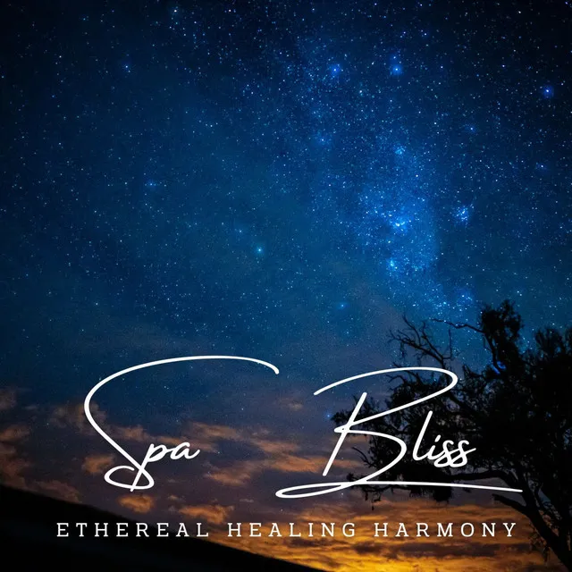 Harmonious Sanctuary: Meditative Melodies for Spa Bliss