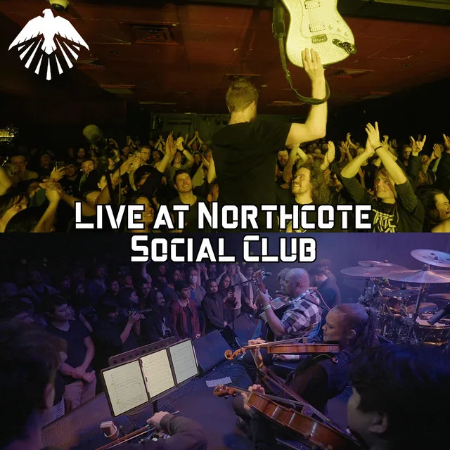 Up Into The Ether (Live at Northcote Social Club)