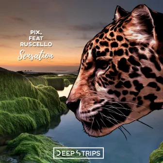 Sensation by P.I.X.