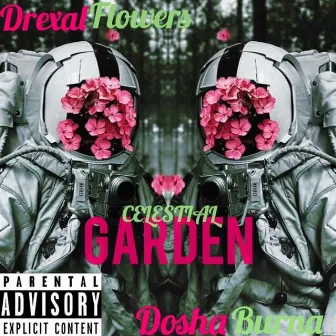 Celestial Garden by Drexal Flowers