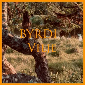 Vilje by Byrdi