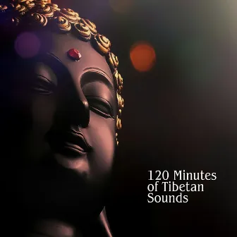 120 Minutes of Tibetan Sounds for Relaxation, Reiki, Massage: Best Spa Collection by Therapy Healing Meditation Zone