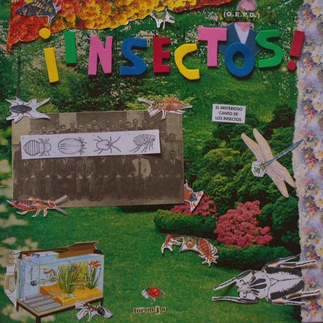 ¡Insectos!