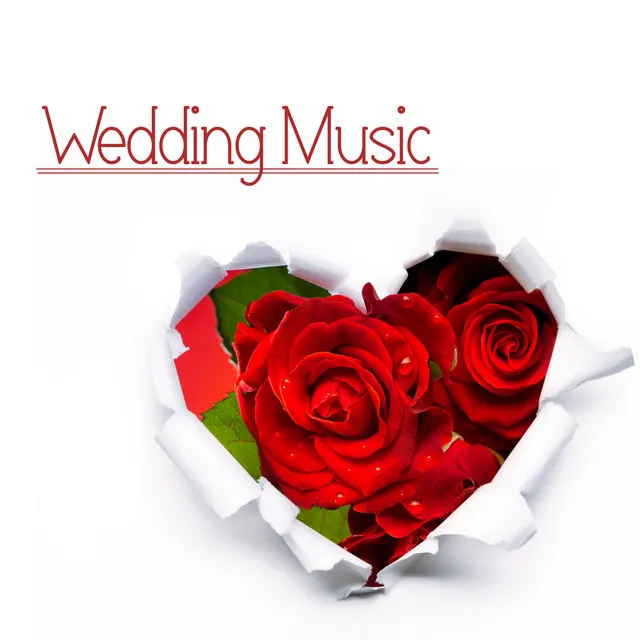 Pianobar (Best Wedding Songs)