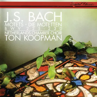 Bach, J.S.: 6 Motets by Ageet Zweistra