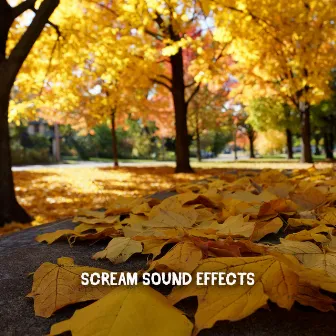 Scream Sound Effects by Halloween Sounds Orchestra