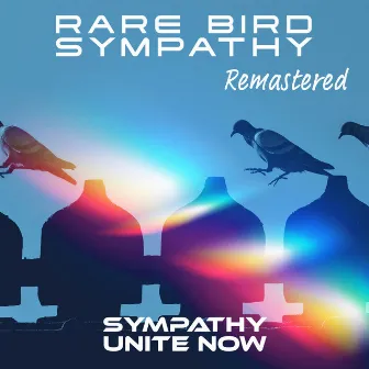 Sympathy (Remastered 2022) (Rerecording) by Rare Bird