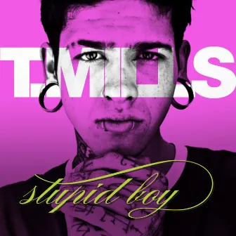 Stupid Boy by Travis Mills