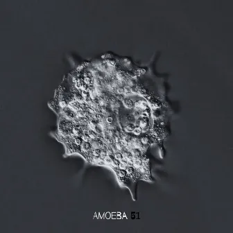 Amoeba 51 by Rook