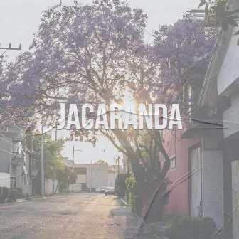 Jacaranda by Nate Made It