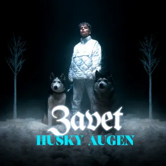 Husky Augen by ZAVET