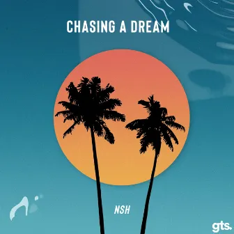 Chasing a Dream by NSH