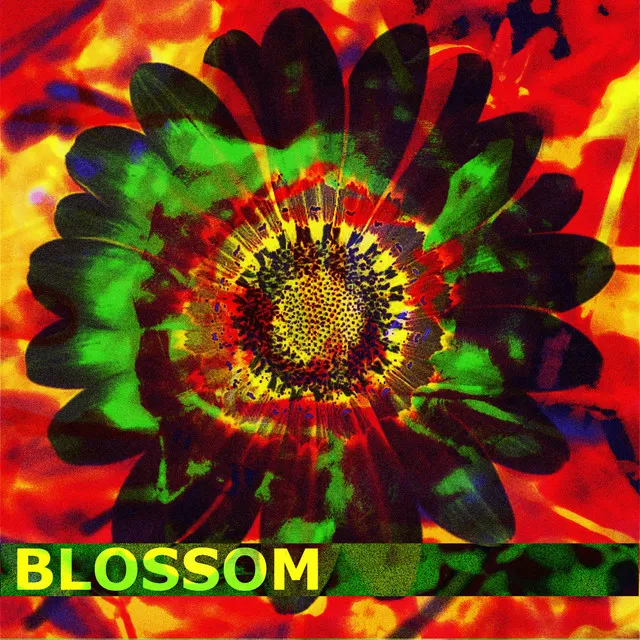 Blossom