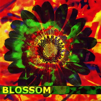 Blossom by Boaconic