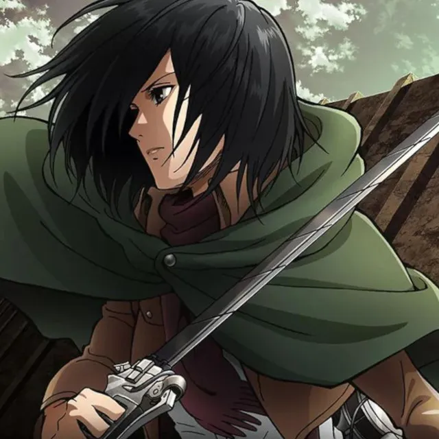 Mikasa