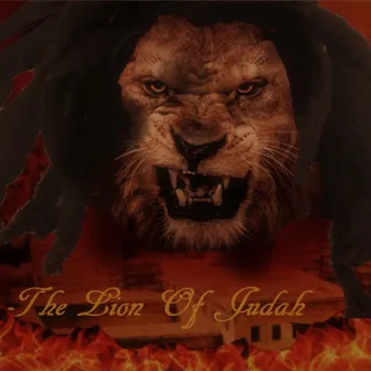 The Lion Of Judah by Followersotw