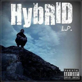 Hybrid Lp by Hybrid