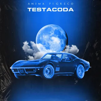 Testacoda by Anima