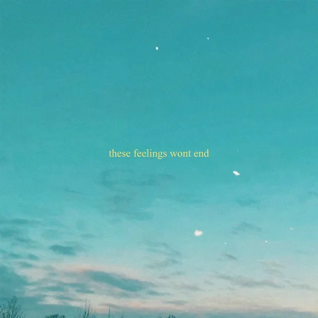 these feelings wont end