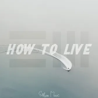 How to Live by Ethan Maac