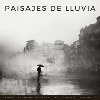 Paisajes De Lluvia: Sinfonía De La Naturaleza Y Aves Para Una Mayor Concentración by Aves del bosque sueco