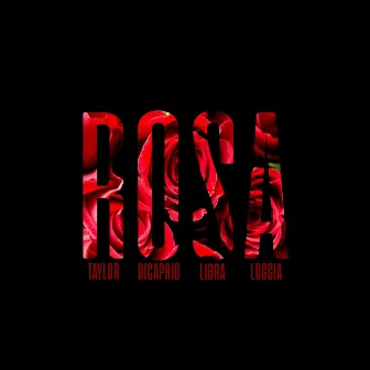 Rosa by Taylor DiCaprio