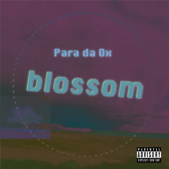 Blossom by Para Da Ox