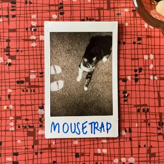 mousetrap by coco simone