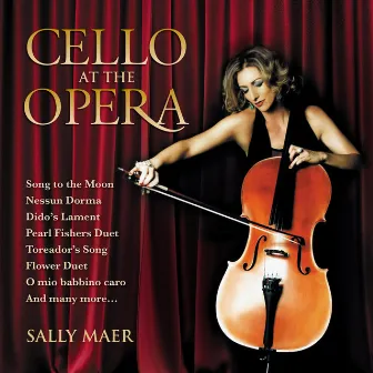 Cello at the Opera by Andrew Greene