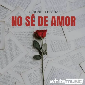 No Sé De Amor by Bertone