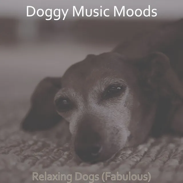 Relaxing Dogs (Fabulous)