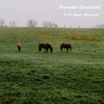 It Is Your Moment by Greenest Grassland