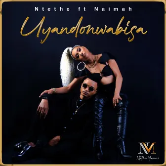 Uyandonwabisa by NTETHE