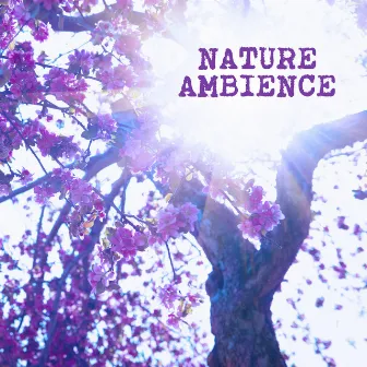 Nature Ambience by Natural White Noise for Babies