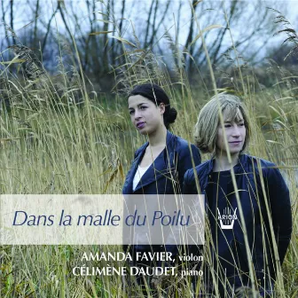 Dans la malle du Poilu by Célimène Daudet